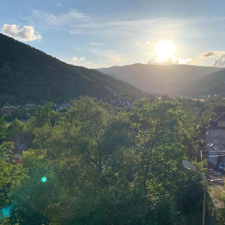 BuhlAu Reposoir - Vue Sur La Montagneアパートメント エクステリア 写真