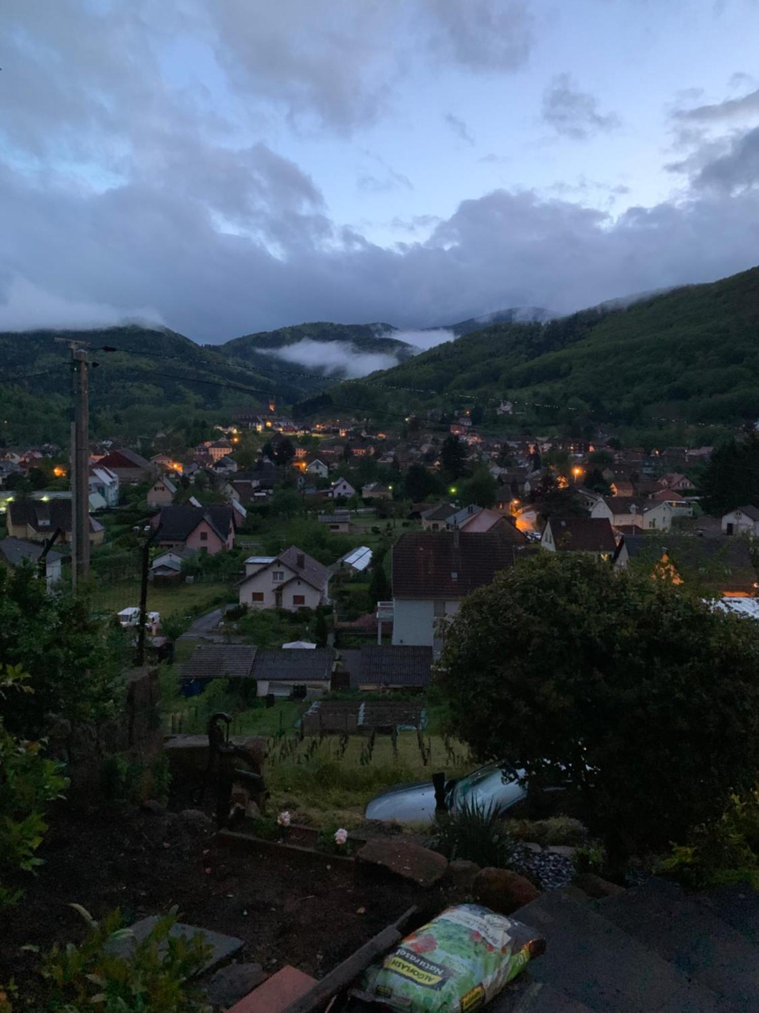 BuhlAu Reposoir - Vue Sur La Montagneアパートメント エクステリア 写真