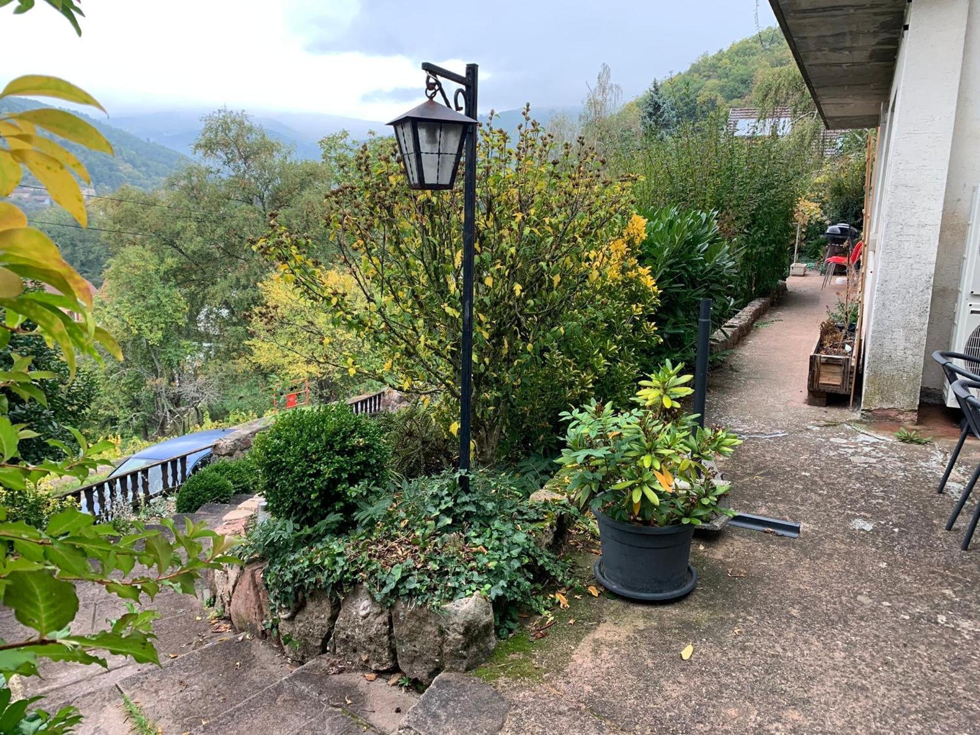 BuhlAu Reposoir - Vue Sur La Montagneアパートメント エクステリア 写真